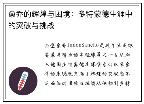 桑乔的辉煌与困境：多特蒙德生涯中的突破与挑战