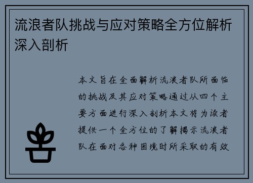 流浪者队挑战与应对策略全方位解析深入剖析