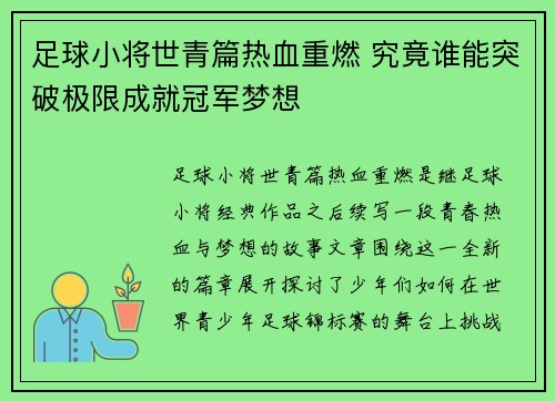 足球小将世青篇热血重燃 究竟谁能突破极限成就冠军梦想
